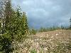 2003_0517_172215AA.jpg
